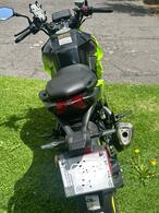 DAYTONA | WOLF 250 | 2025