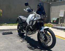 DUCATI | DESERT X 937 | 2024