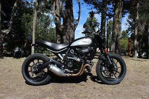 DUCATI | SCRAMBLER 800 ICON DARK | 2022