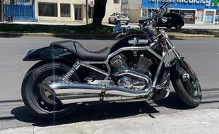 HARLEY DAVIDSON | VROD | 2005
